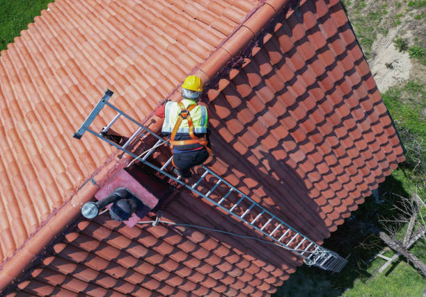 Best Steel Roofing  in Picacho Hills, NM